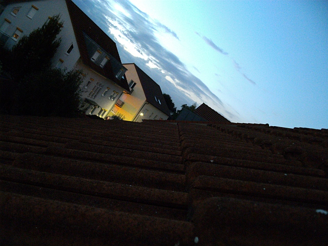 roofy view